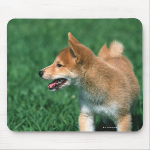 Japanese Midget Shiba Mouse Mat