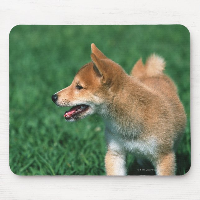 Japanese Midget Shiba Mouse Mat (Front)