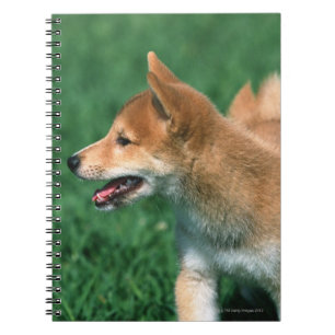 Japanese Midget Shiba Notebook