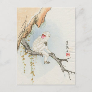 Japanese Monkey Postcard