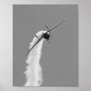 Japanese Navy Aichi D3A Dive Bomber Poster