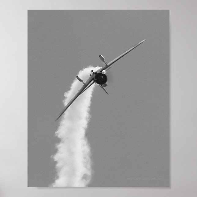 Japanese Navy Aichi D3A Dive Bomber Poster (Front)