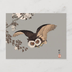 Japanese Owl Night Moon Woodcut Flying Night Postcard
