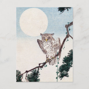 Japanese Owl no.2 Postcard