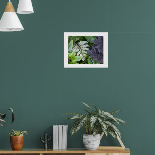 Japanese Painted Fern and Foliage Photographic Poster