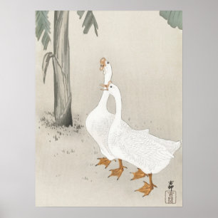 Japanese painting by koson ohara, 小原古邨の日本画 poster