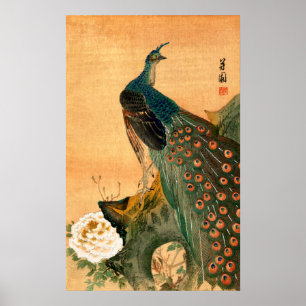 Japanese Peacock no.2 Poster
