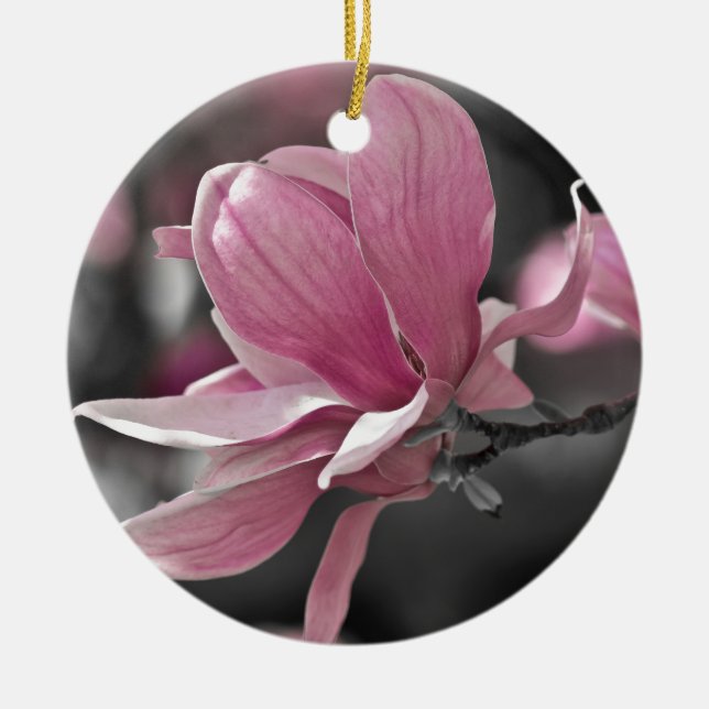 Japanese Pink Saucer Magnolia Ceramic Tree Decoration (Front)