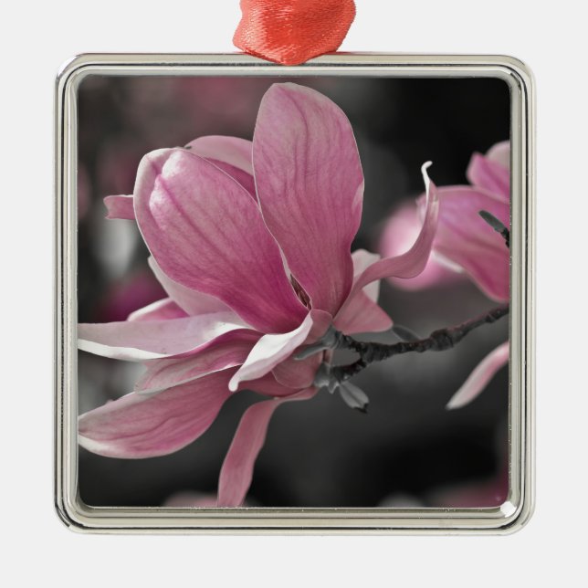 Japanese Pink Saucer Magnolia Metal Tree Decoration (Front)