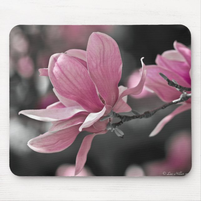 Japanese Pink Saucer Magnolia Mouse Mat (Front)