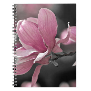 Japanese Pink Saucer Magnolia Notebook