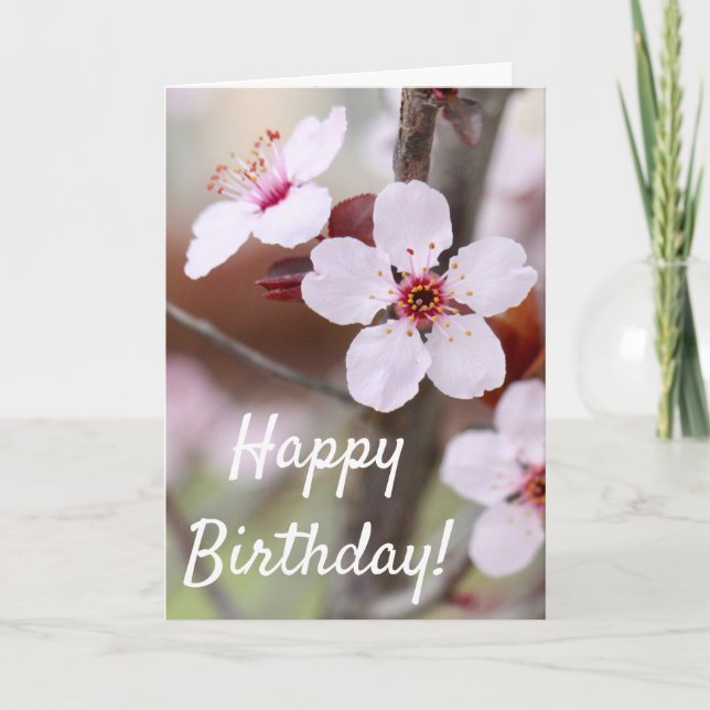 Japanese Plum Flowers Birthday Blessings Card (Front)