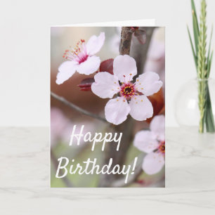 Japanese Plum Flowers Birthday Card
