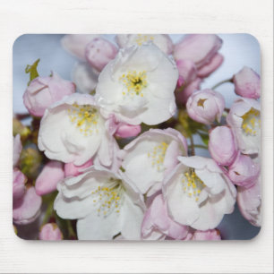 Japanese Plum Mousepad