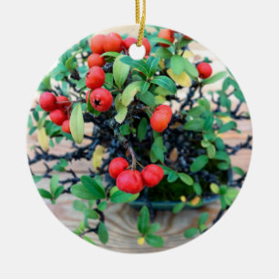 Japanese Pyracantha Bonsai Tree Photo Ceramic Tree Decoration