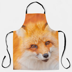 Japanese red fox resting, sleeping and playing in  apron