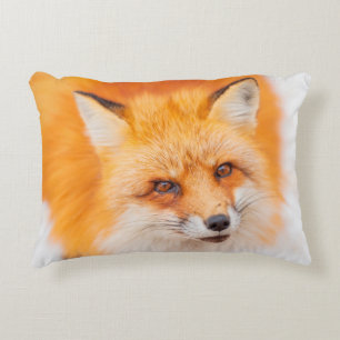 Japanese red fox resting, sleeping and playing in  decorative cushion