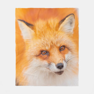 Japanese red fox resting, sleeping and playing in  fleece blanket
