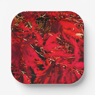                  Japanese red maple (Acer)    Paper Plate