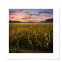 Japanese Rice Field Sunrise – Nature Wisdom Print
