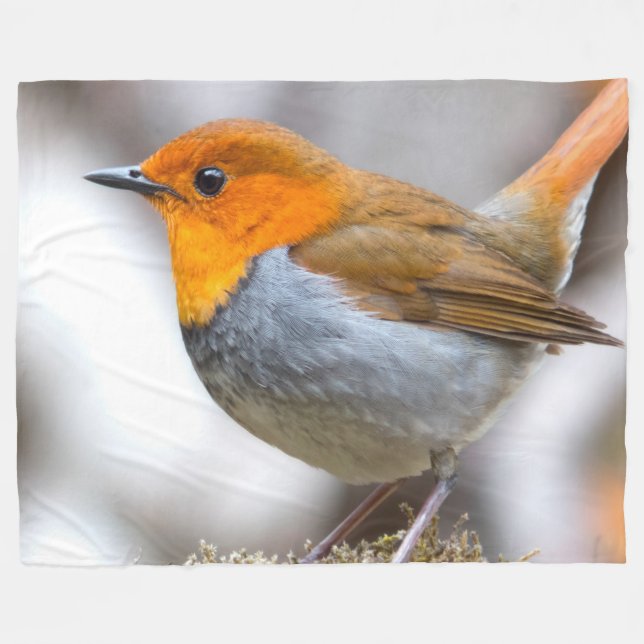 Japanese Robin Fleece Blanket (Front (Horizontal))
