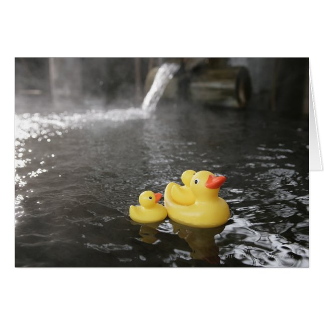 Japanese Rubber Duckies (Front Horizontal)