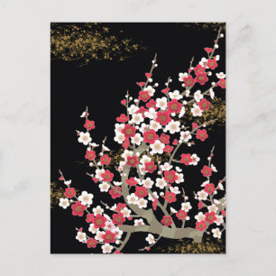 Japanese Sakura Cherry Blossom Fine Art Postcard
