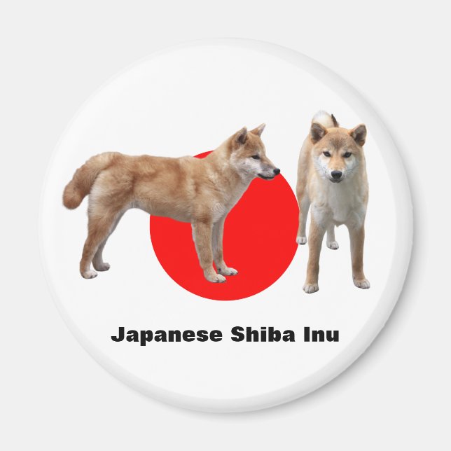 Japanese Shiba Inu Magnet (Front)