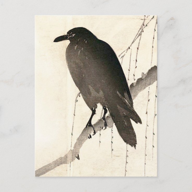Japanese sketch of a raven postcard | Zazzle