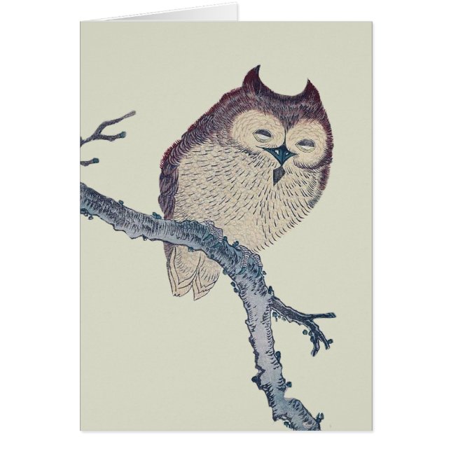 Japanese Sleeping Owl Night Artwork (Front)