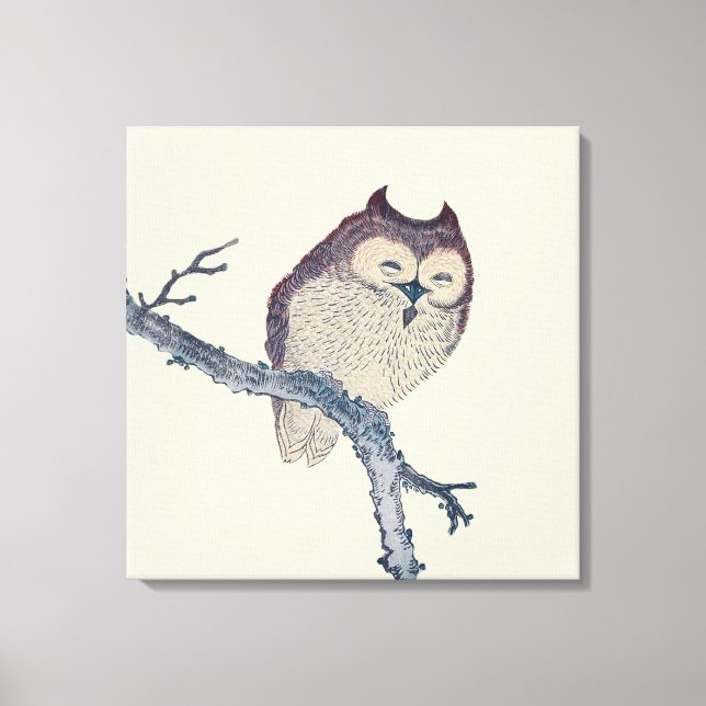 Japanese Sleeping Owl Night Artwork Canvas Print (Front)