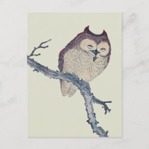 Japanese Sleeping Owl Night Artwork Postcard