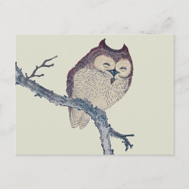 Japanese Sleeping Owl Night Artwork Postcard (Front)