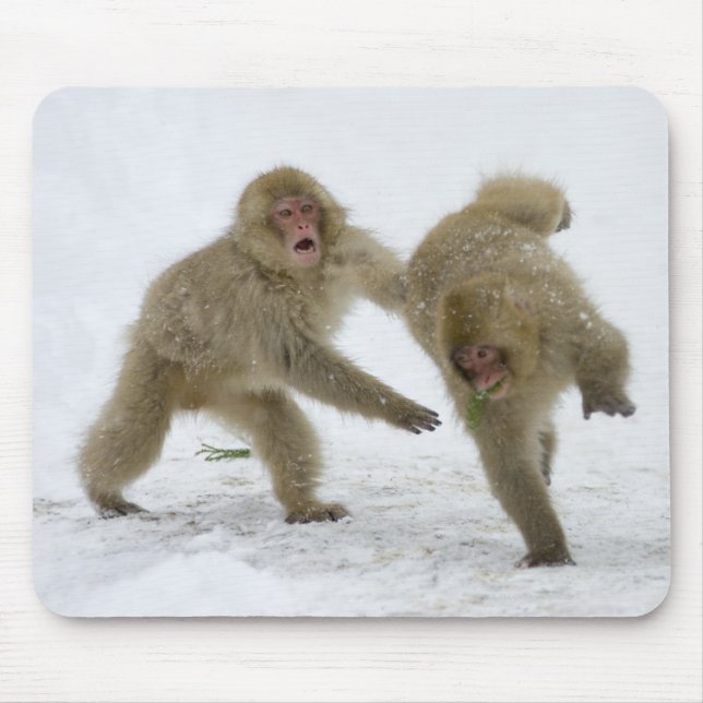 Japanese Snow Monkey cubs playing on snow Mouse Mat (Front)