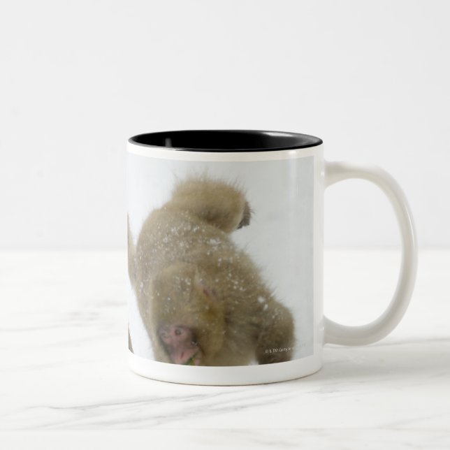 Japanese Snow Monkey cubs playing on snow Two-Tone Coffee Mug (Right)