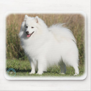 Japanese Spitz 9Y576D-261 Mouse Mat