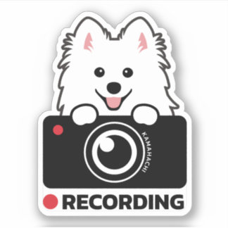 Japanese Spitz Dashcam Warning vinyl sticker