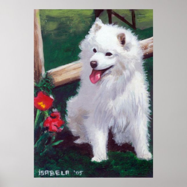 Japanese Spitz Dog Portrait Poster (Front)
