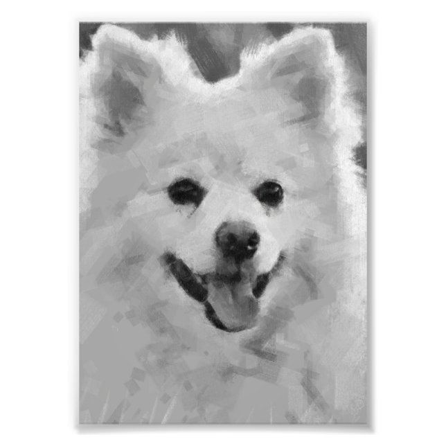 Japanese Spitz Photo Print (Front)