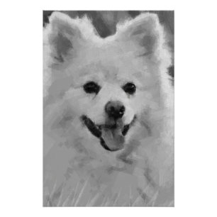 Japanese Spitz Poster
