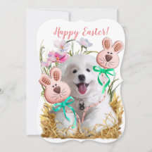 Japanese Spitz puppy and gingerbread hares	