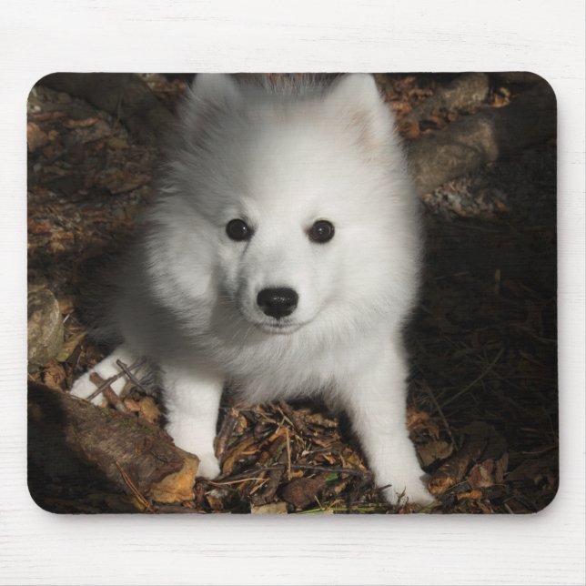 Japanese Spitz puppy Mouse Mat (Front)
