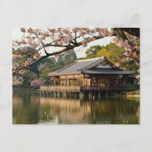 Japanese spring scene with pond and cherry blossom postcard