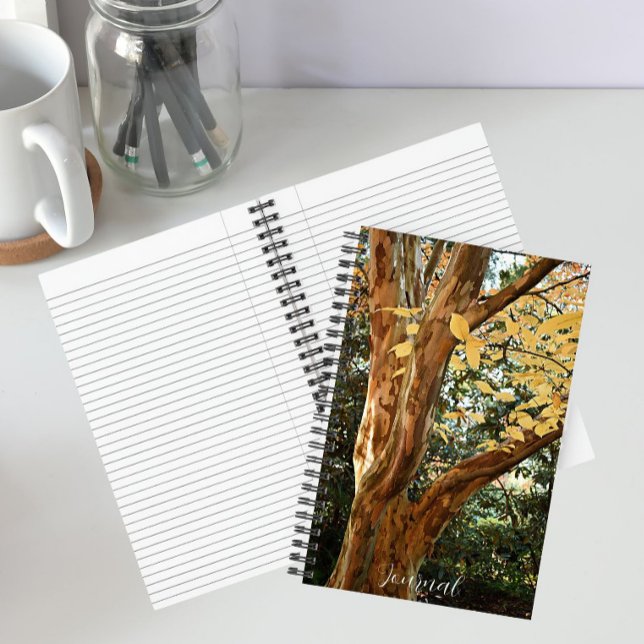 Japanese Stewartia Tree Botanical Photo Notebook (In Situ)