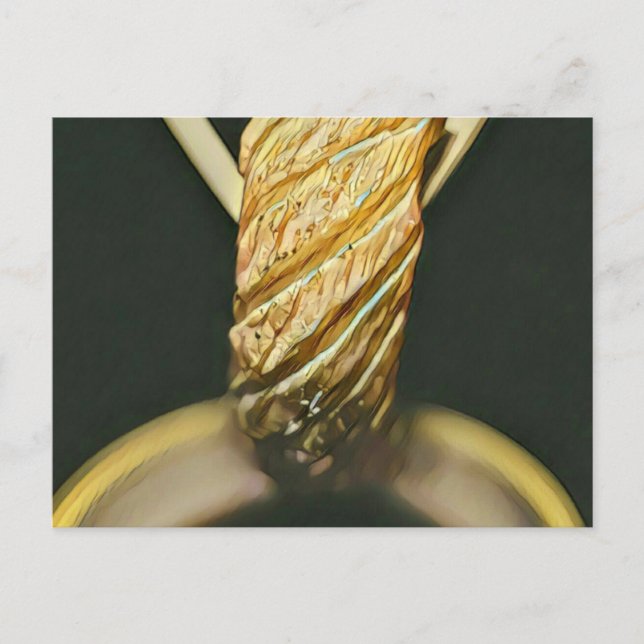 Japanese sushi lover postcard (Front)