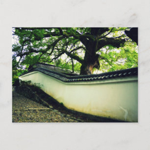 Japanese Temple Wall Postcard