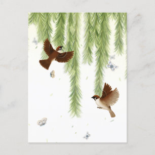 Japanese Tree Sparrows Under a Weeping Willow Postcard