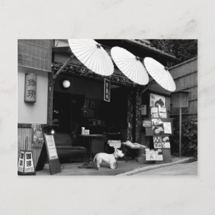 Japanese Umbrella Shop Postcard