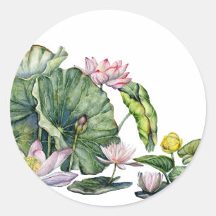 Japanese Water Lilies and Lotus Flowers Classic Round Sticker