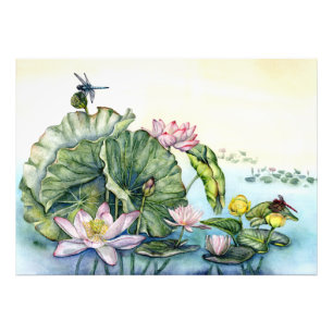 Japanese Water Lilies and Lotus Flowers Photo Print